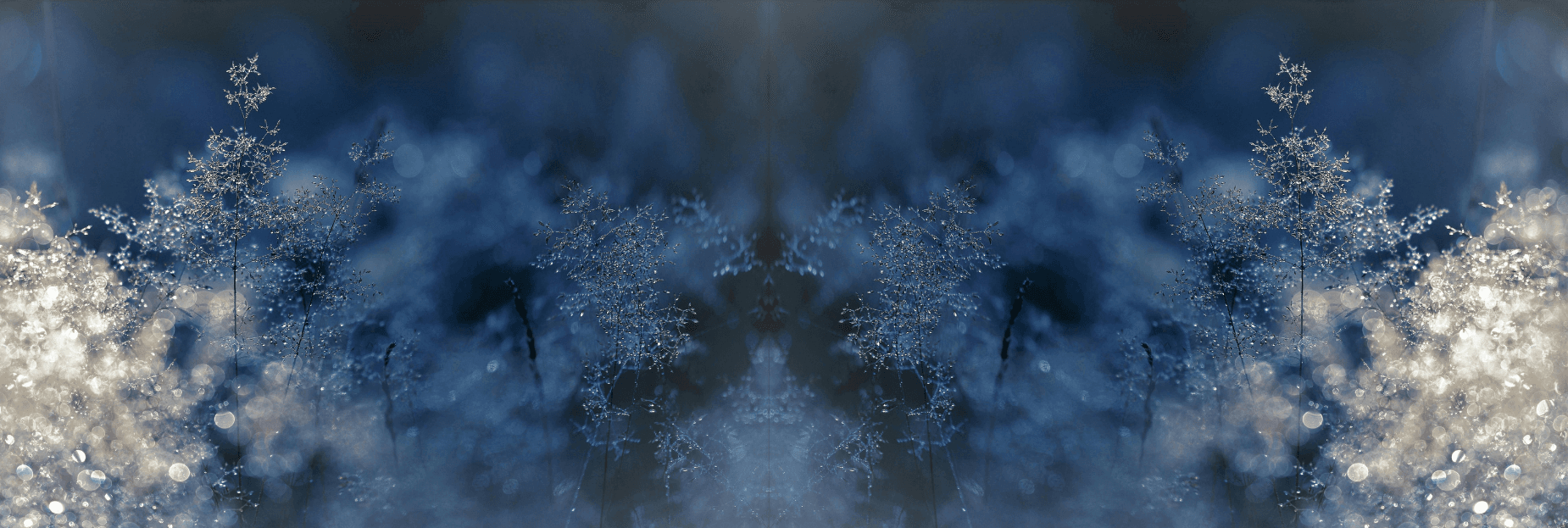 Close-up mirrored snow flakes Hero